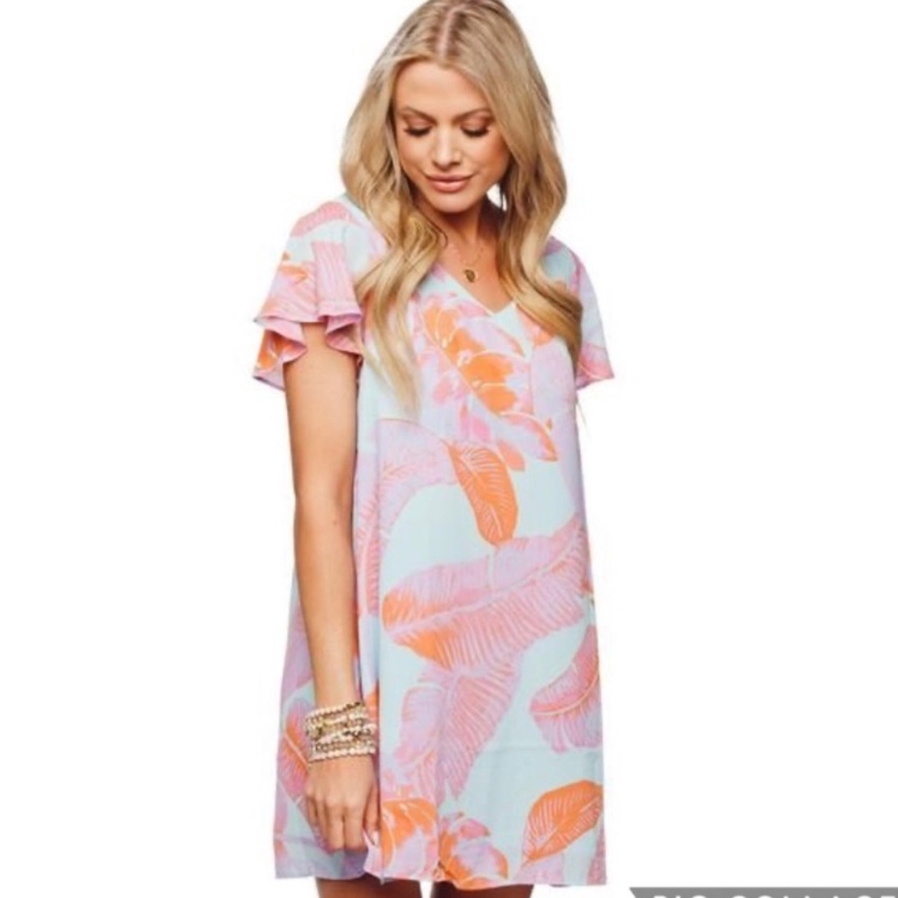 Buddy Love dress (worn 1 time)
